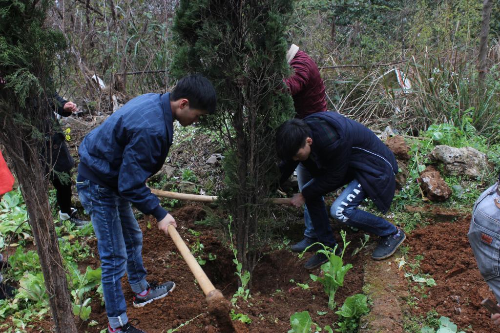 我校师生义务植树300株 为学校"添绿添彩"